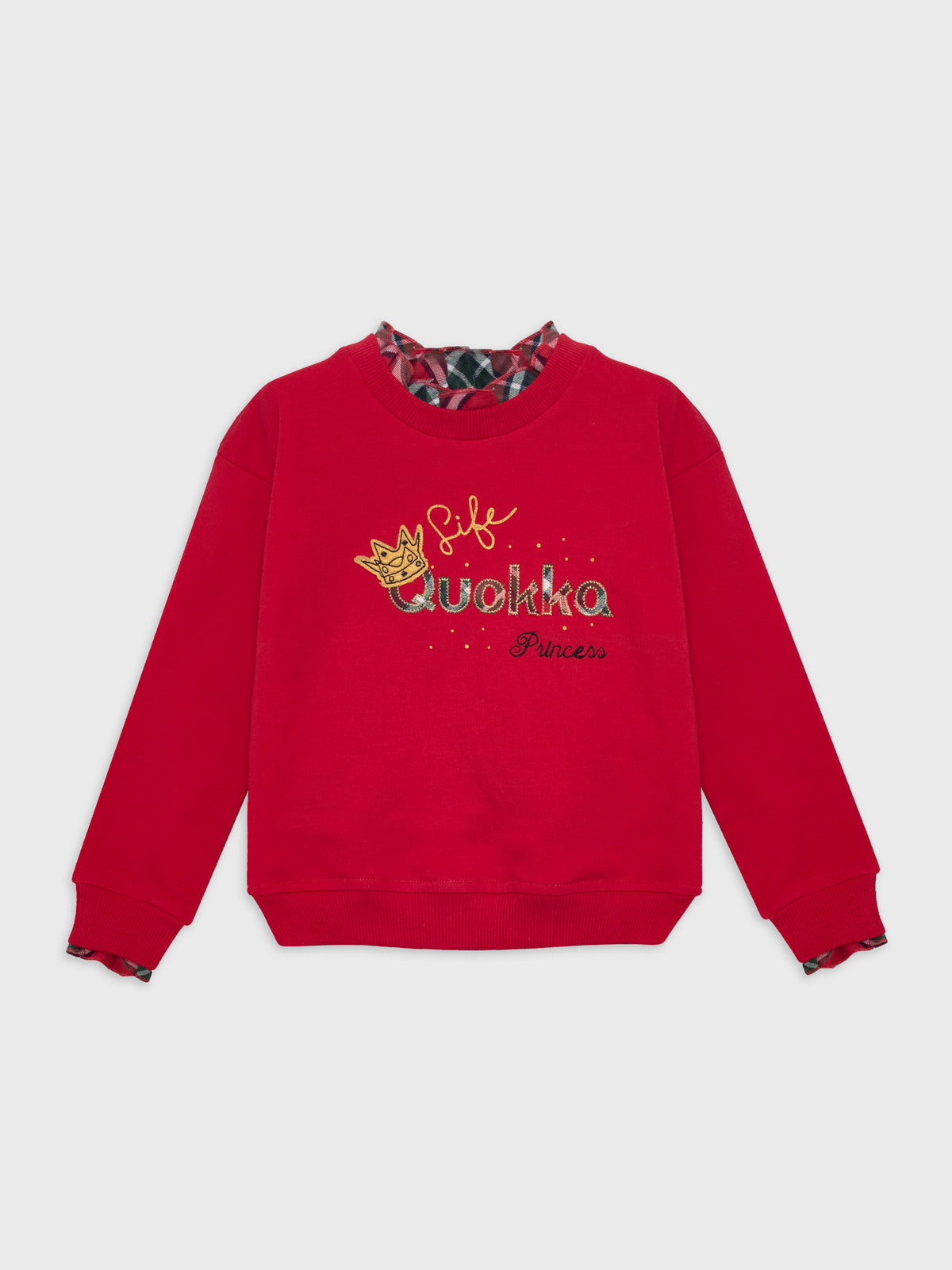 Long Sleeved Sweatshirt
