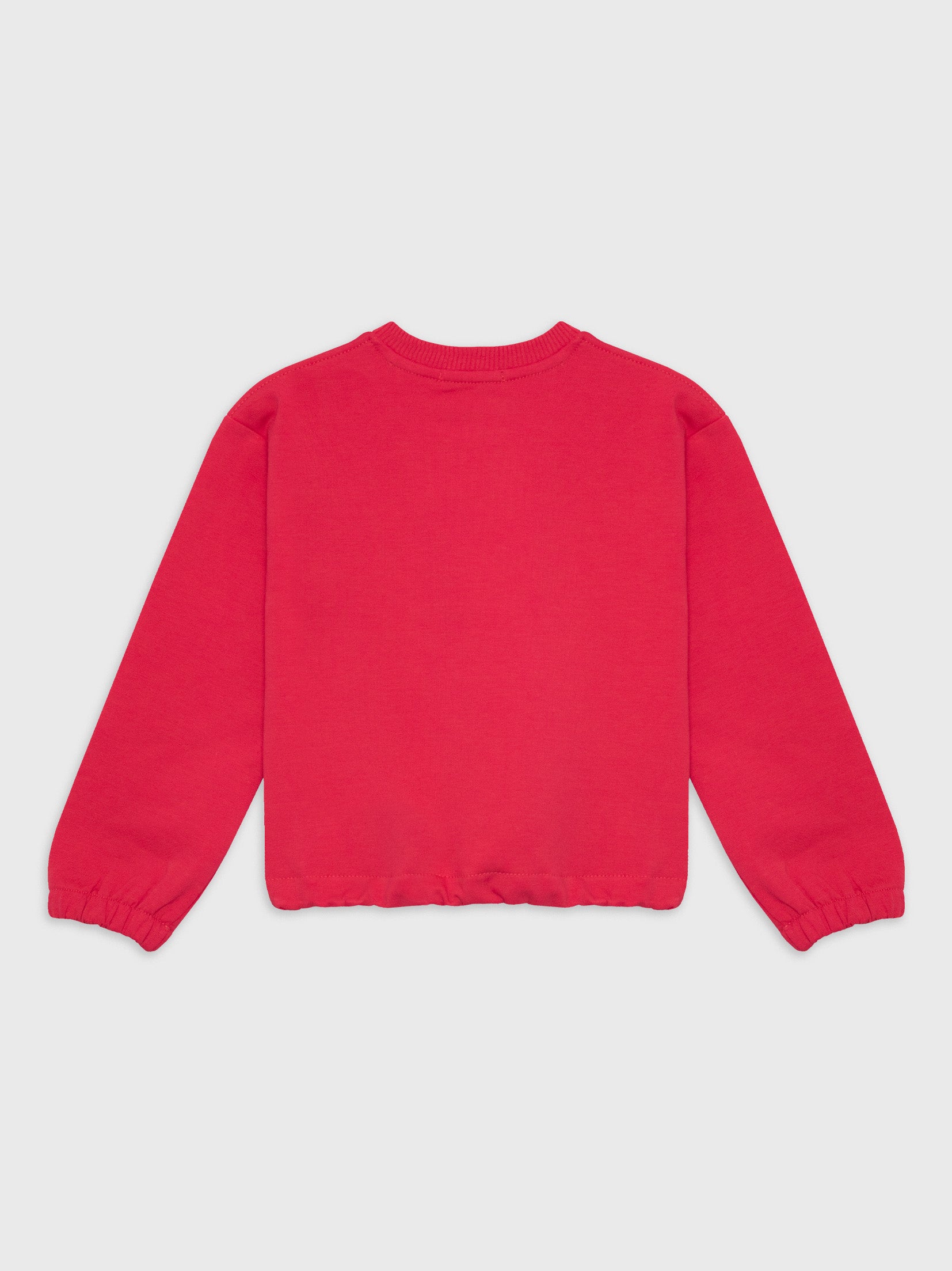 Long Sleeved Cropped Sweatshirt