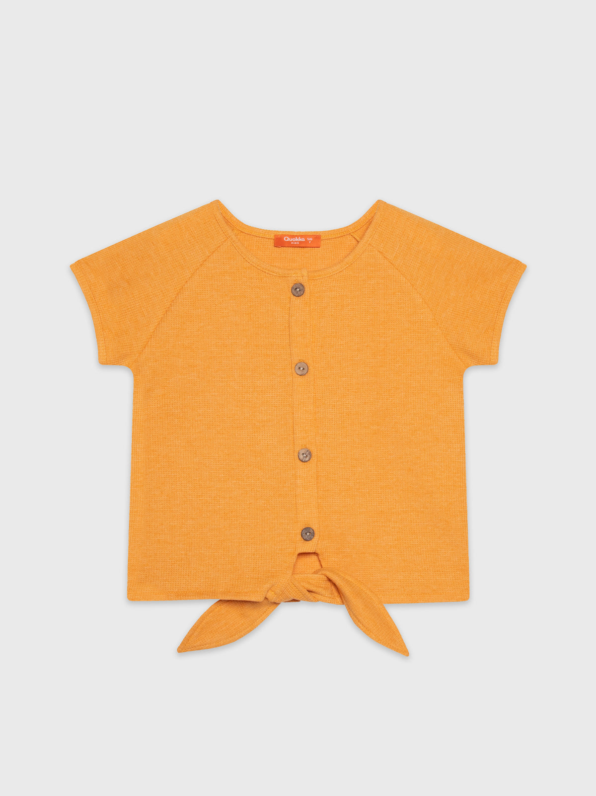Short Sleeve Cropped Tie-Up Blouse