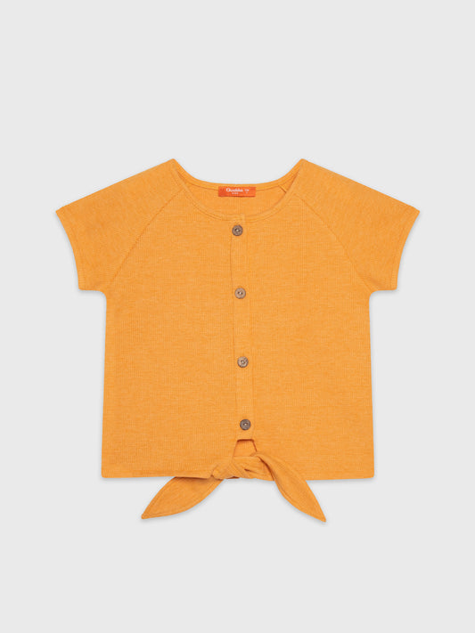 Short Sleeve Cropped Tie-Up Blouse