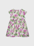 Short Sleeve Printed Dress