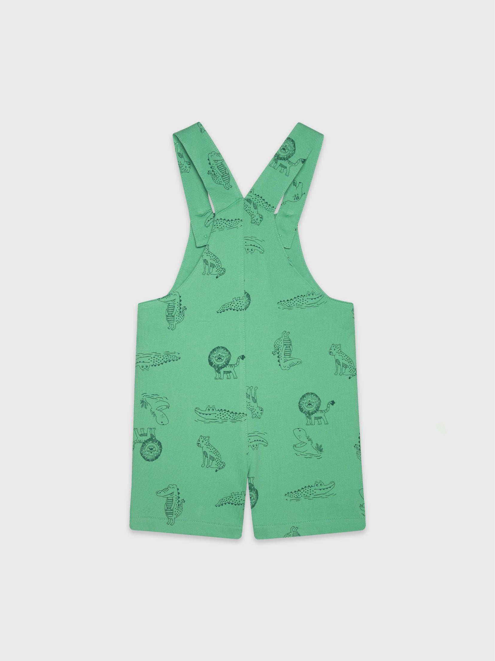 Overalls and T-Shirt Set