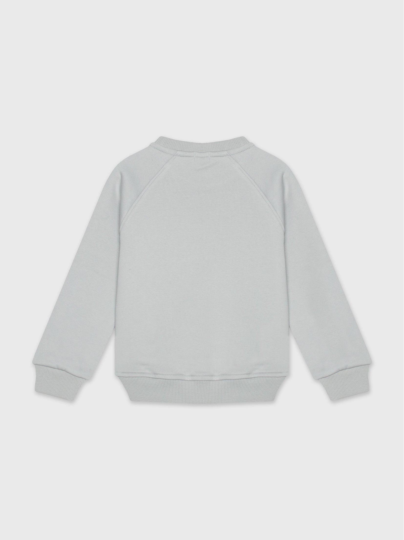 Long Sleeved Sweatshirt