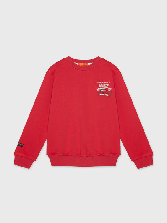 Long Sleeved Sweatshirt